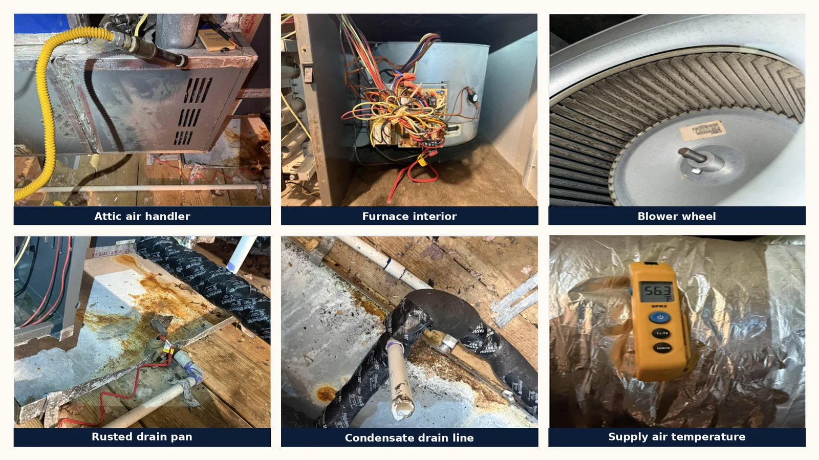 Six labeled field photos from a Real Estate HVAC Assessment: an attic air handler, a furnace interior with its wiring and control board, a dirty blower wheel, a rusted drain pan, a condensate drain line, and a thermometer reading 56.3 degrees Fahrenheit at a supply duct.